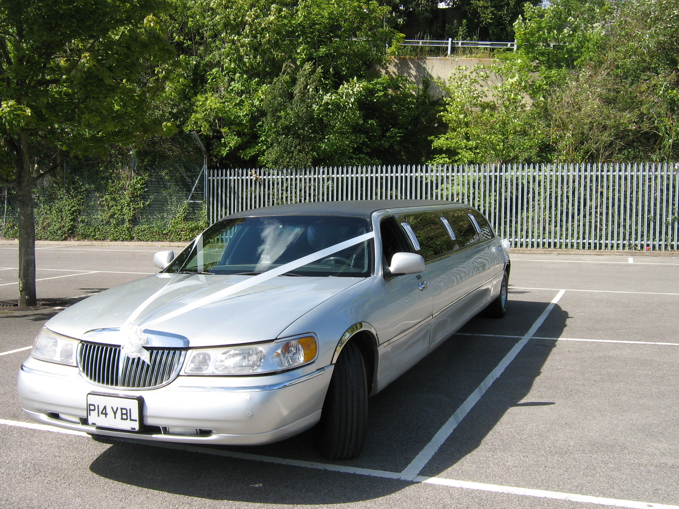 Silver Limousine